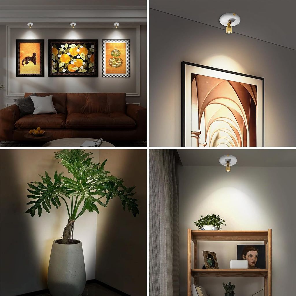 Indoor Plant Spotlight Battery Operated,Picture Light with Remote,Wall Painting Uplight,Wireless Dimmable Timer,Spot Light for Plants Trees Pictures Dis Painting Art e Gallery Portrait