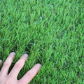 WS Artificial Grass Turf 6.5FTX10FT,1,38inch 4 Tone Realistic Synthetic Thick Fake Faux Grass Rug Astroturf Carpet Landscape for Dogs Indoor Outdoor Garden Lawn Mat, with Drainage Holes
