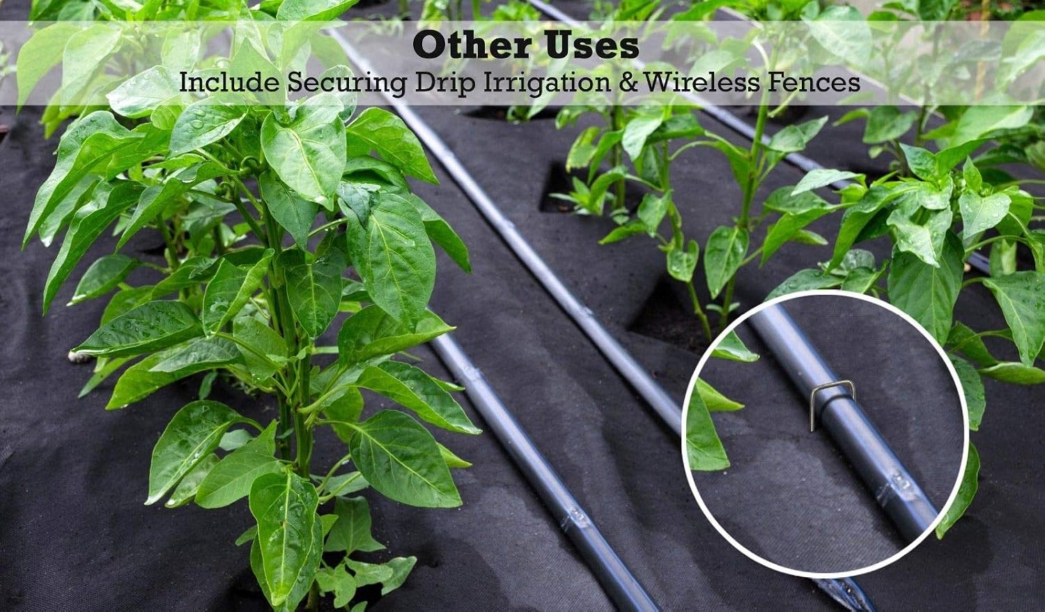Sandbaggy Landscape Staples 9 Inch Extra Long ~ Fabric Pins Garden Lawn Heavy Duty - Fence Anchors - Great for Soft Sandy Soil - Trusted by Farmers & Contractors Across USA (5,000 Staples)