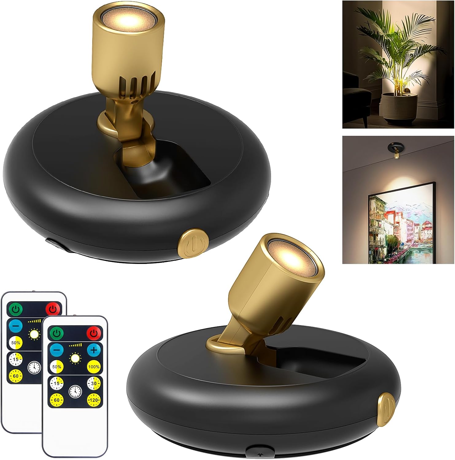 Indoor Plant Spotlight Battery Operated,Picture Light with Remote,Wall Painting Uplight,Wireless Dimmable Timer,Spot Light for Plants Trees Pictures Dis Painting Art e Gallery Portrait