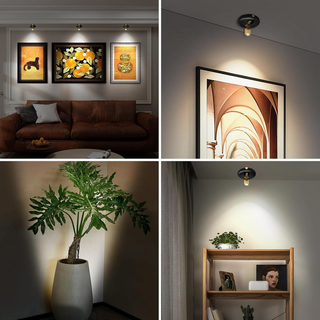 Indoor Plant Spotlight Battery Operated,Picture Light with Remote,Wall Painting Uplight,Wireless Dimmable Timer,Spot Light for Plants Trees Pictures Dis Painting Art e Gallery Portrait