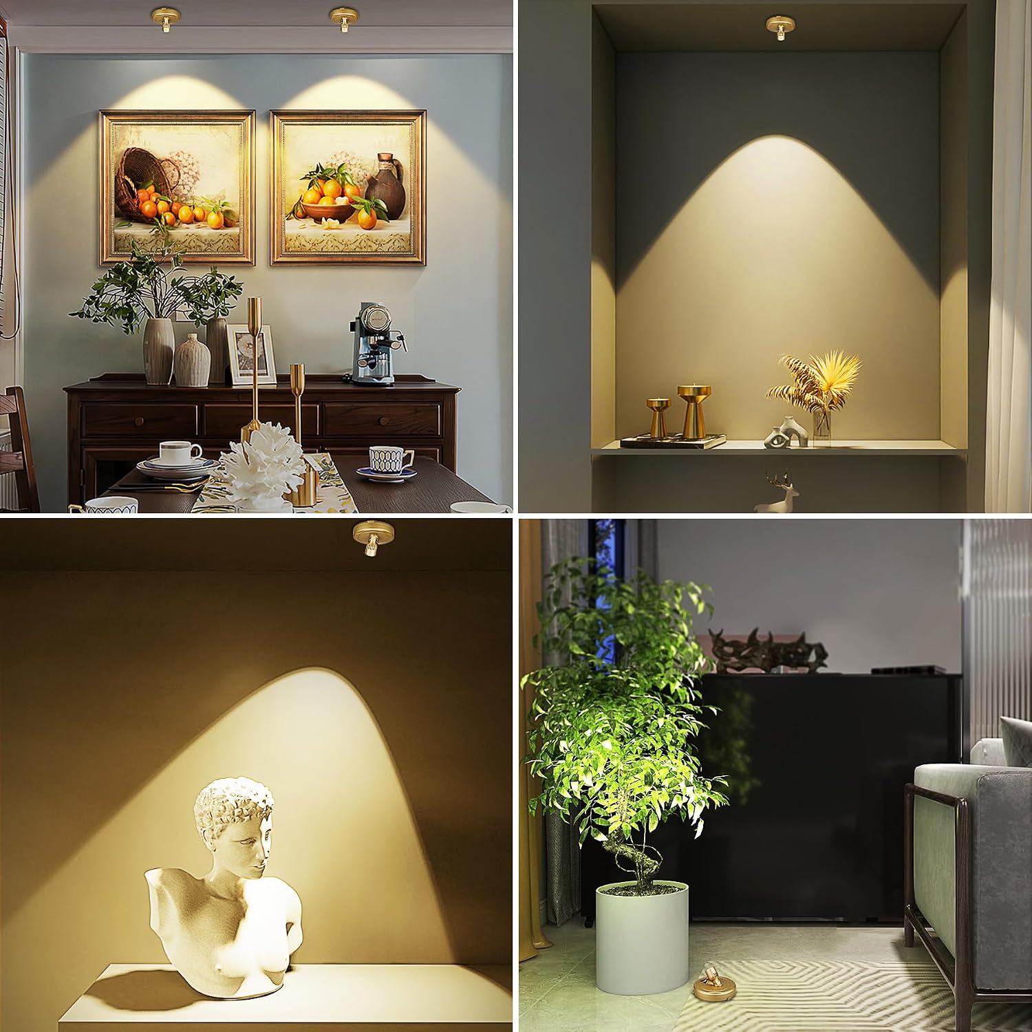 Indoor Plant Spotlight Battery Operated,Picture Light with Remote,Wall Painting Uplight,Wireless Dimmable Timer,Spot Light for Plants Trees Pictures Dis Painting Art e Gallery Portrait