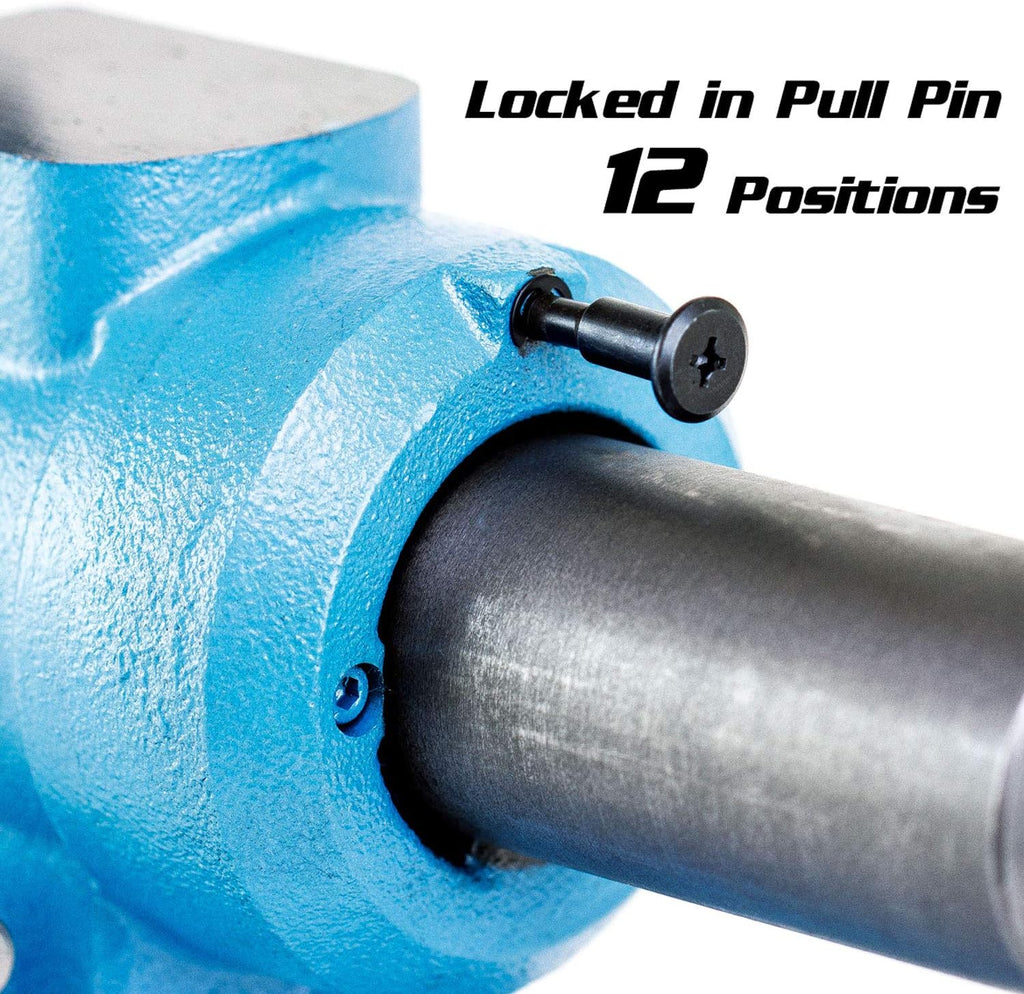 Capri Tools 10519 Rotating Base and Head Bench Vise, 6'