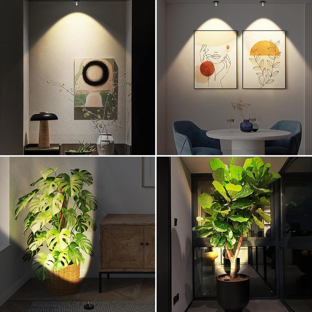 Indoor Plant Spotlight Battery Operated,Picture Light with Remote,Wall Painting Uplight,Wireless Dimmable Timer,Spot Light for Plants Trees Pictures Dis Painting Art e Gallery Portrait