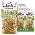 Food to Live Organic Numberini Pasta - Eat. Play. Learn, 8.8 oz (Pack of 24) – Multicolor Italian Fun Kid's Pasta, Made with Roots and Vegetables, Non-GMO, Bulk