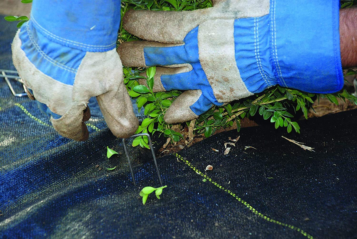 Dewitt 4-Pack Pro-5 Weed Barrier Fabric 5 oz, 3 x 250 Feet – Heavy-Duty Woven Landscape Ground Cover Mat for Raised Garden Bed, Greenhouse Gardening, Outdoor Landscaping, and Commercial Planting