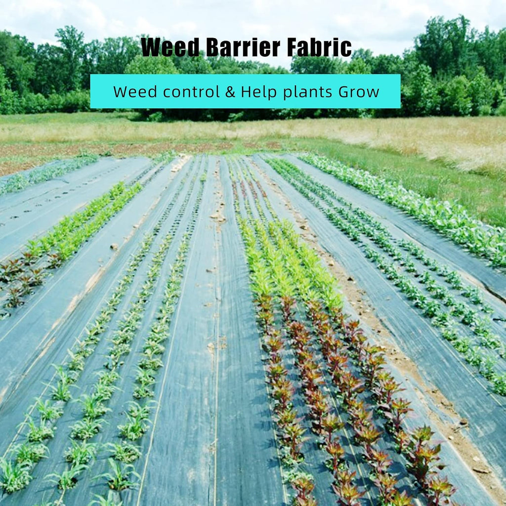 6ft X 300ft Weed Barrier Landscape Fabric Heavy Duty, Premium 3.2oz Ground Cover Weed Block Gardening Mat, Easy Setup & Superior Weed Control, for Erosion Control, Weed Barrier