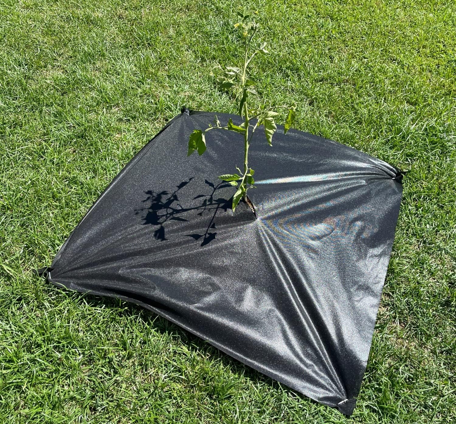 Sandbaggy Tree Mats 3 ft x 3 ft | Fabric Stops Weeds in Its Tracks | UV Protected for Extended Life | for Landscape, Weed Barrier, Ground Cover, Farming, Garden | DOT Approved (Pack of 8000)
