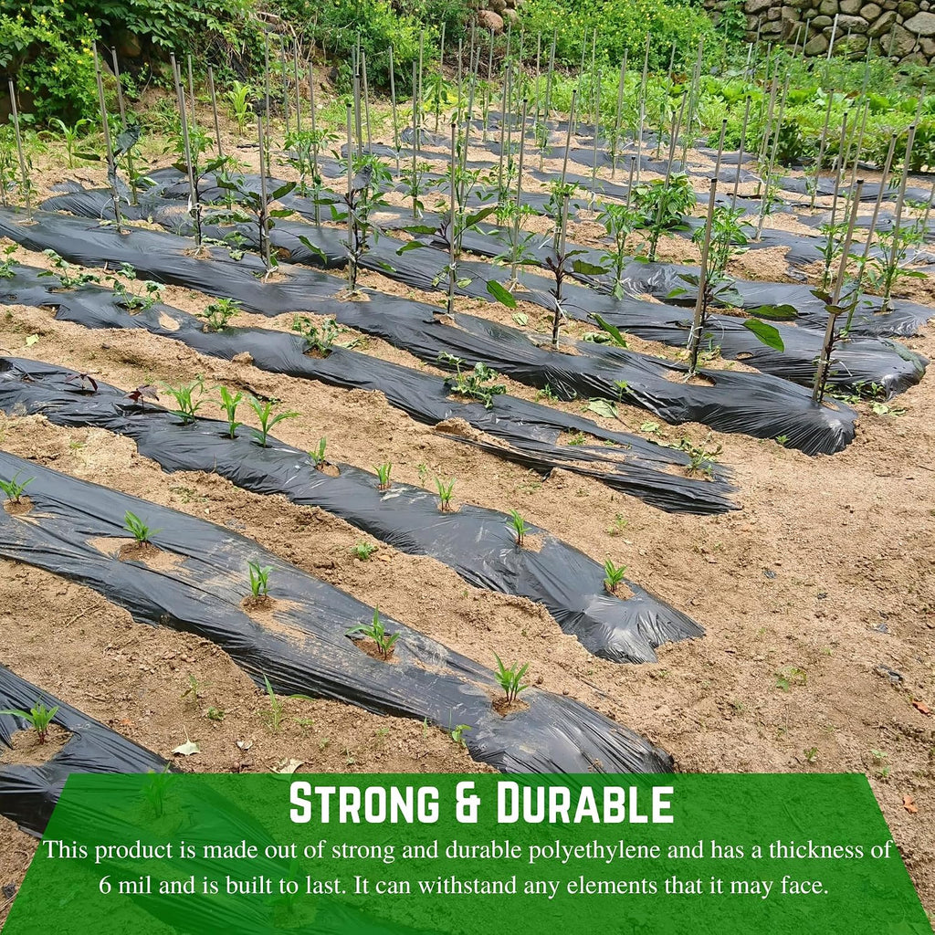 Farm Plastic Supply - Weed Control 6 Mil Black Plastic Sheeting - Heavy Duty Weed Barrier Landscape Fabric for Outdoor Gardens, Non Woven Weed Blocker Fabric, Weed Control (24' x 100')