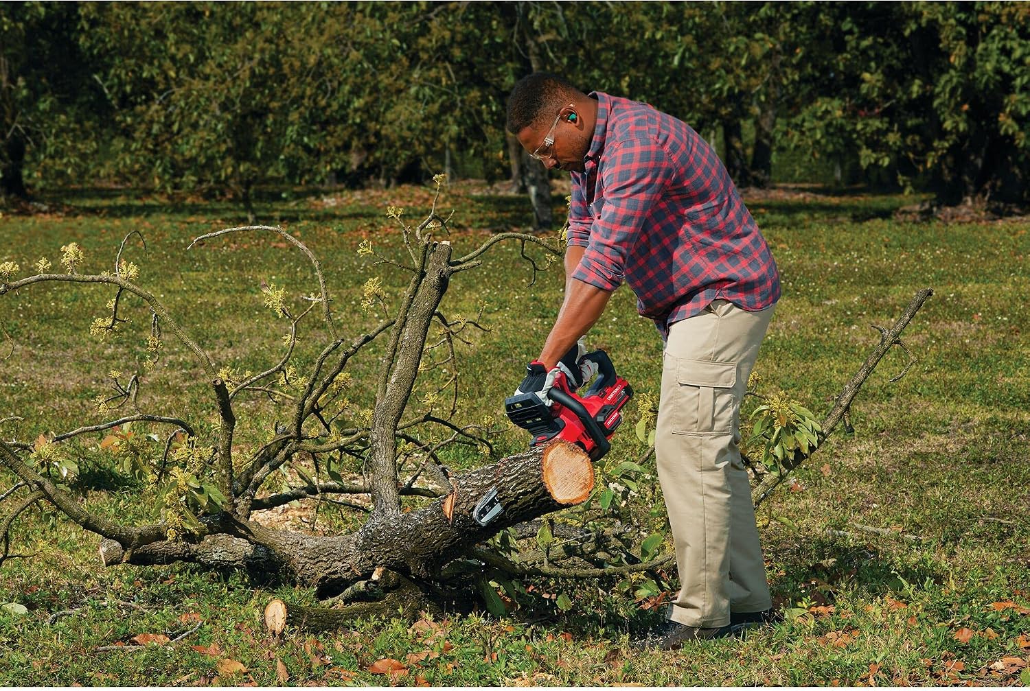 CRAFTSMAN V20 Mini Chainsaw, Cordless, 12 inch, Bare Tool Only (CMCCS620B)