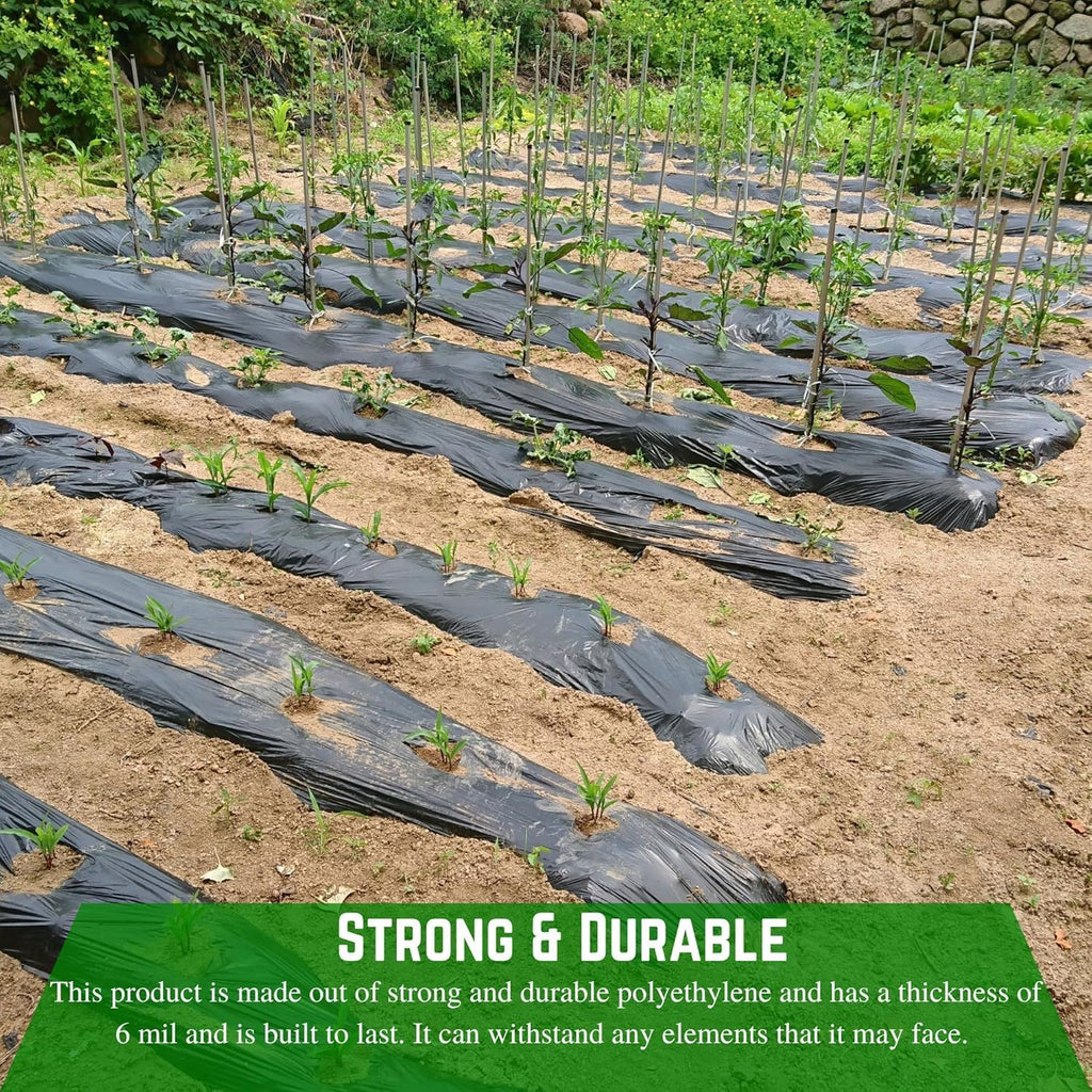 Farm Plastic Supply - Weed Control 6 Mil Black/White Polyethylene Sheeting - Heavy Duty Weed Barrier Landscape Fabric for Outdoor Gardens, Non Woven Weed Blocker Fabric, Weed Control (10' x 100')